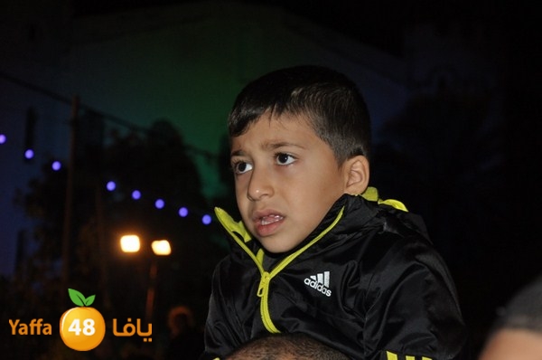 tree light 1208 (113).JPG